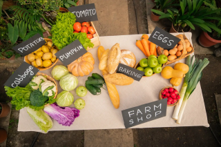 Gaya Hidup Sehat Tidak Harus Serba Organik